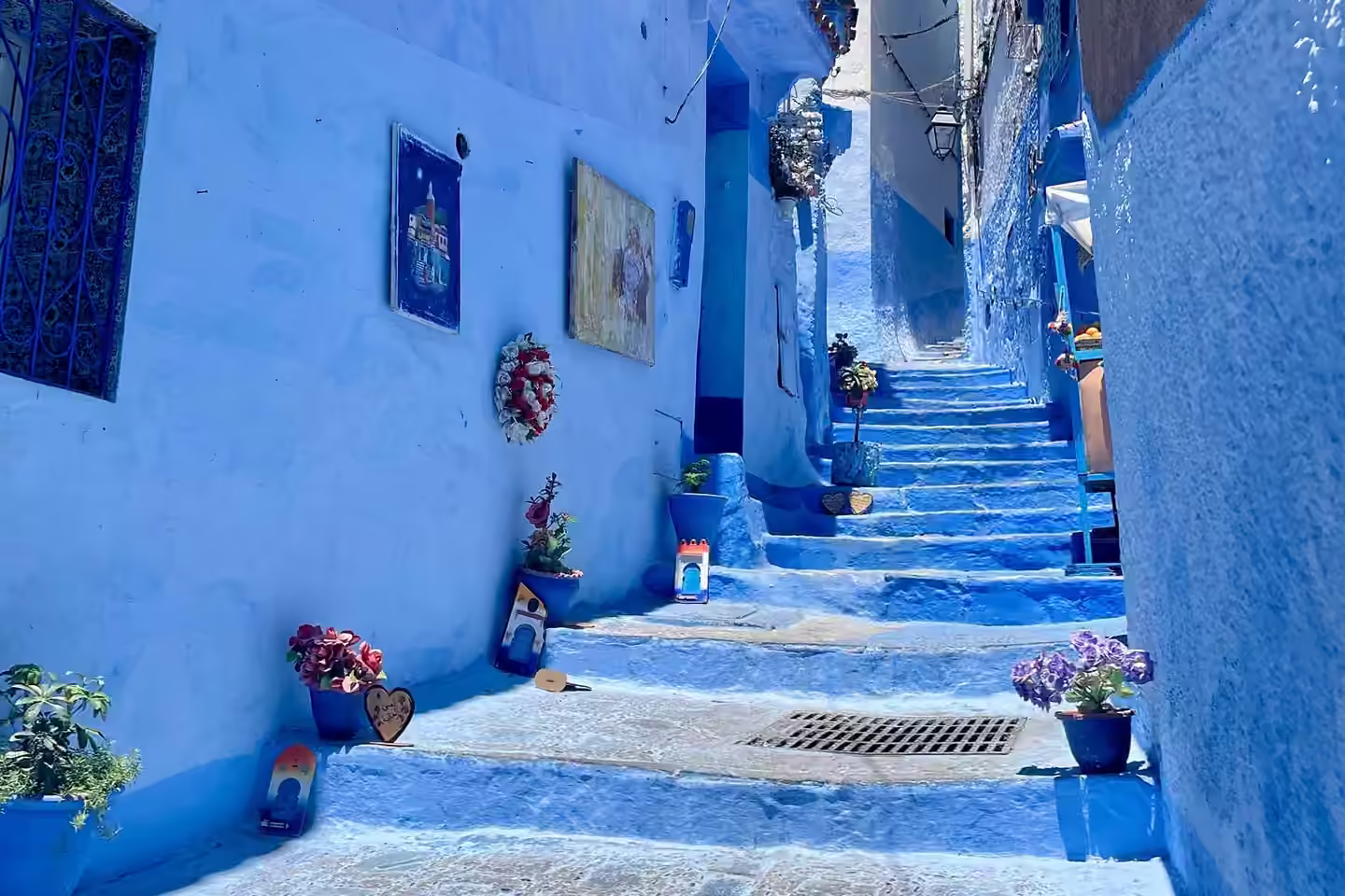Le célèbre escalier bleu de la médina de Chefchaouen, bordé de pots de fleurs