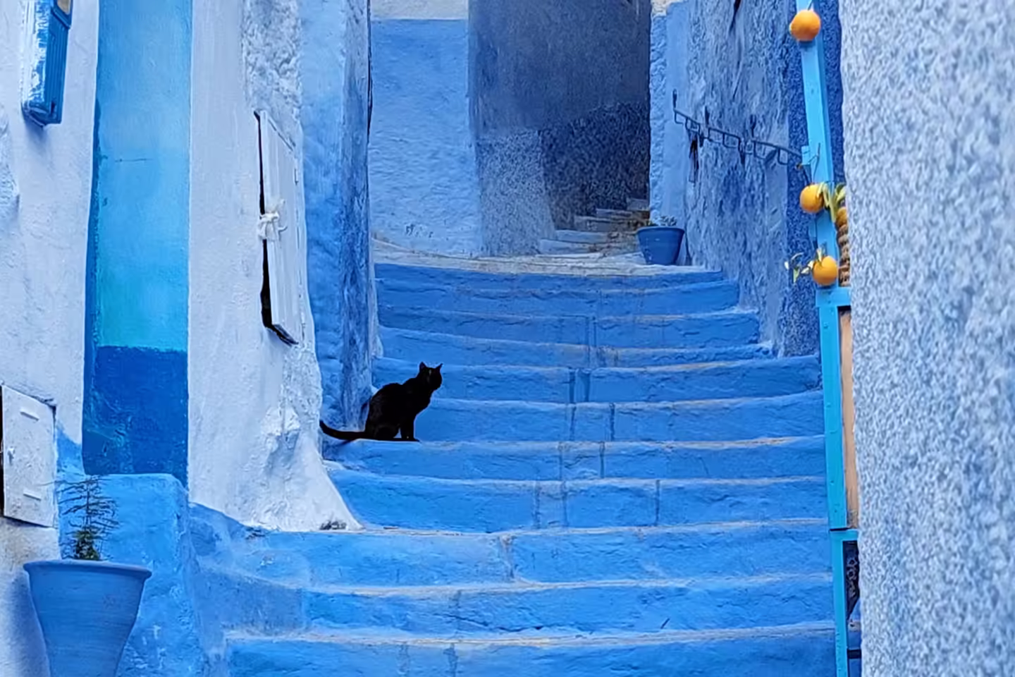 Un chat noir sur les marches bleues d’une ruelle de Chefchaouen