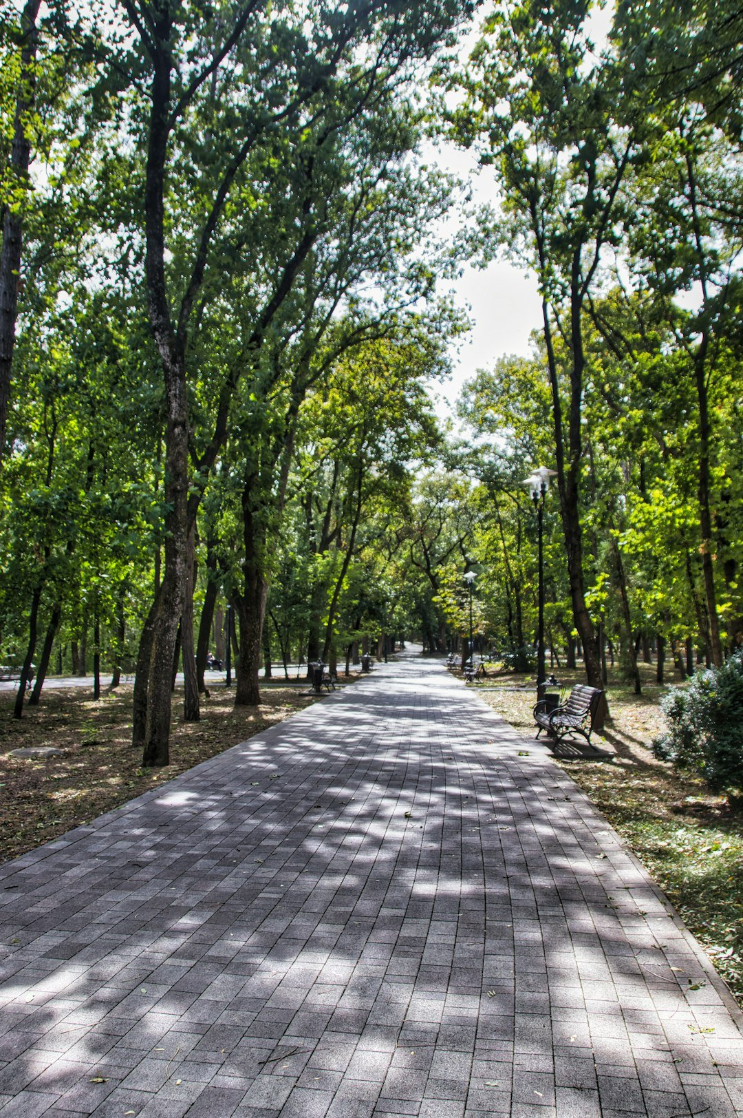 Perdicaris Park