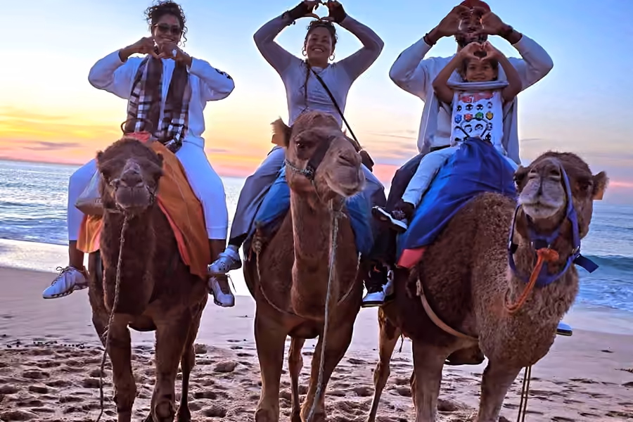 Une famille à dos de chameau sur la plage d’Achakkar au coucher du soleil