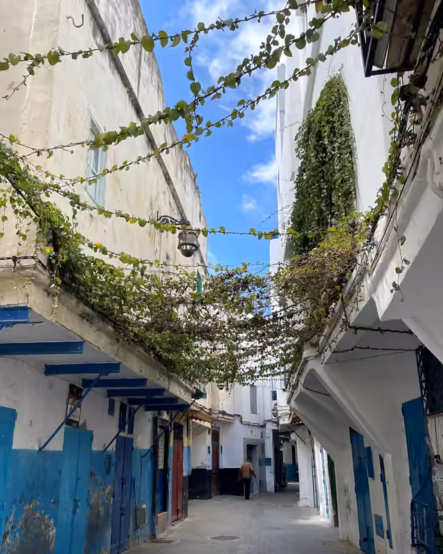 A vine-covered alley in the Tangier medina