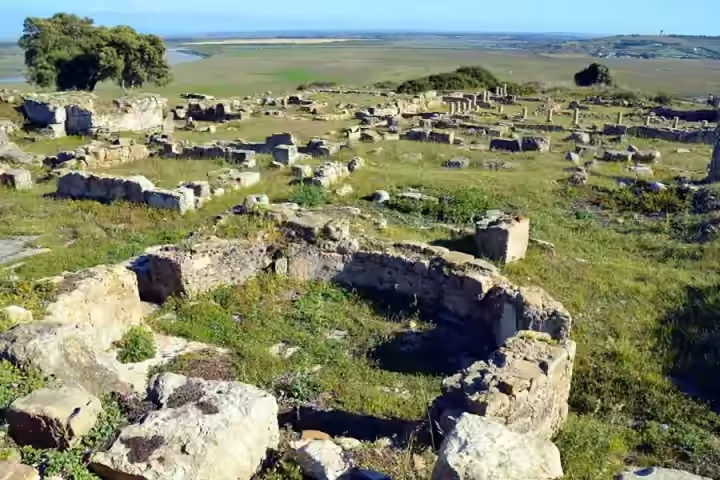 Ruins among the grass at Lixus, near Larache