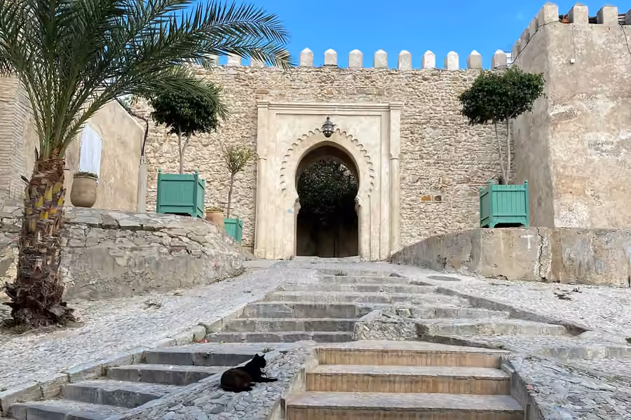 Les marches de pierre qui montent à la vieille porte de la kasbah de Tanger, avec un chat noir dans l’escalier