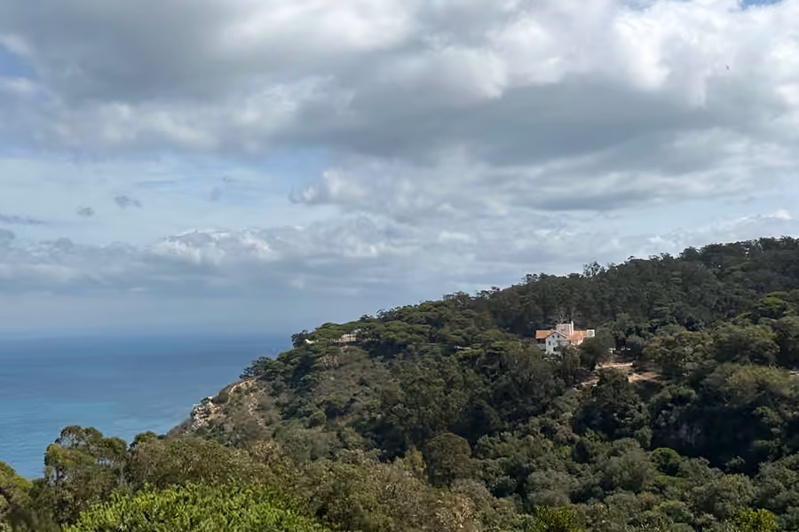 La forêt de pins sur les collines au-dessus de la mer à Rmilat, près du parc Perdicaris