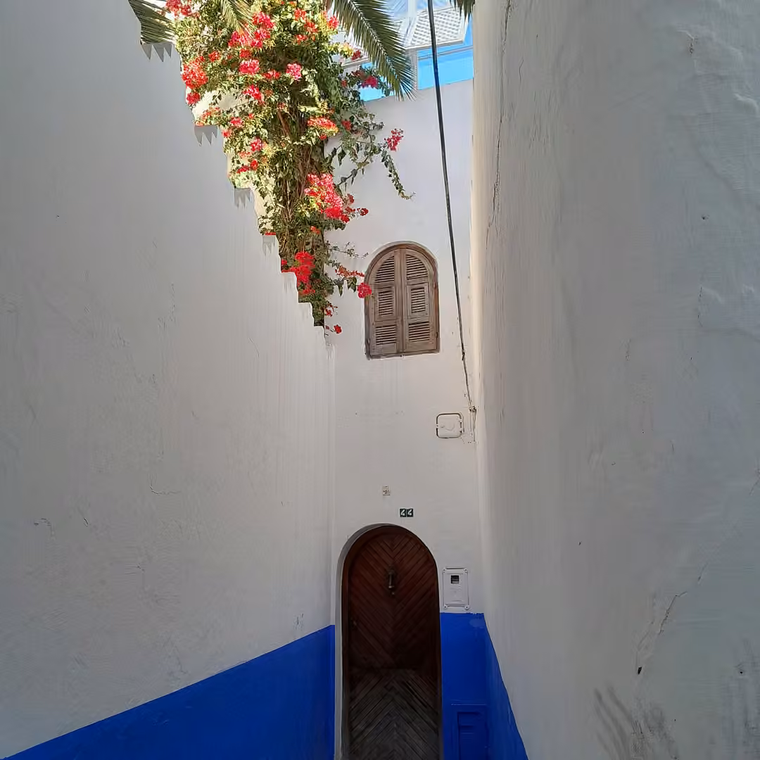 Un callejón blanco con zócalo azul y buganvillas en la medina de Asilah