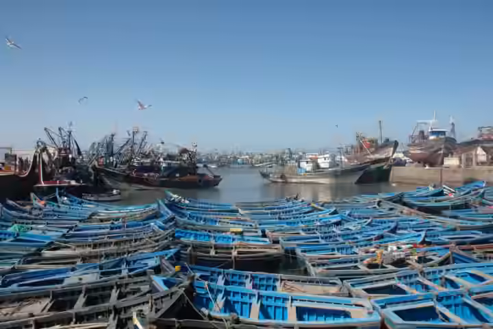 Hileras de barcas de pesca de madera azules en el puerto de Essaouira, con arrastreros amarrados detrás