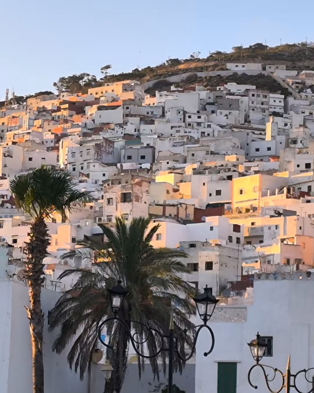 Las casas blancas de la medina de Tetuán subiendo por la ladera con el sol de la tarde