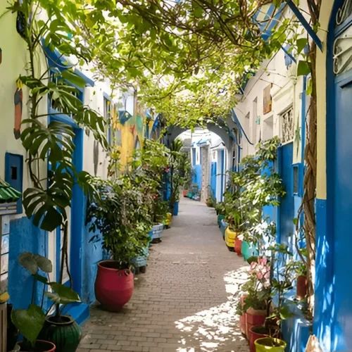 Tangier Private Day Tour Old City
