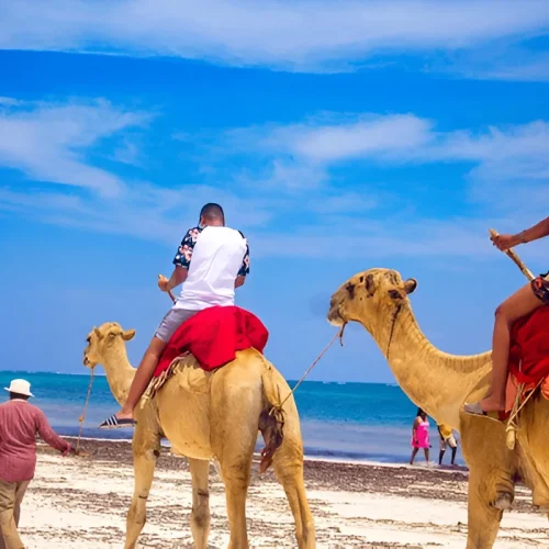 Tangier Private Day Tour Camel ride