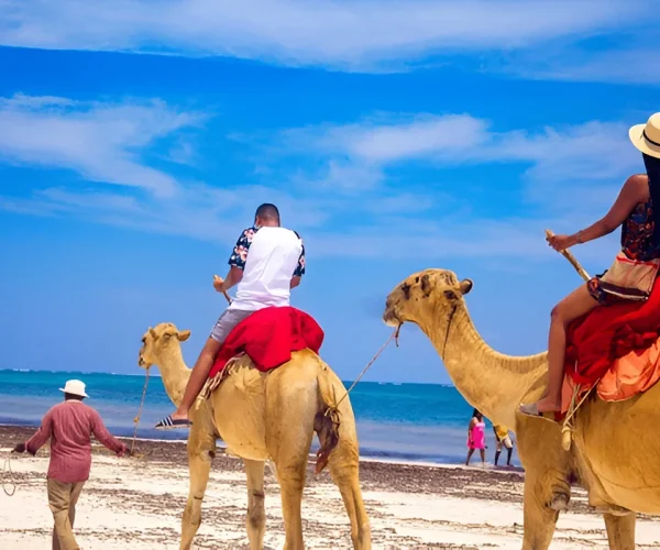Tangier Private Day Tour Camel ride